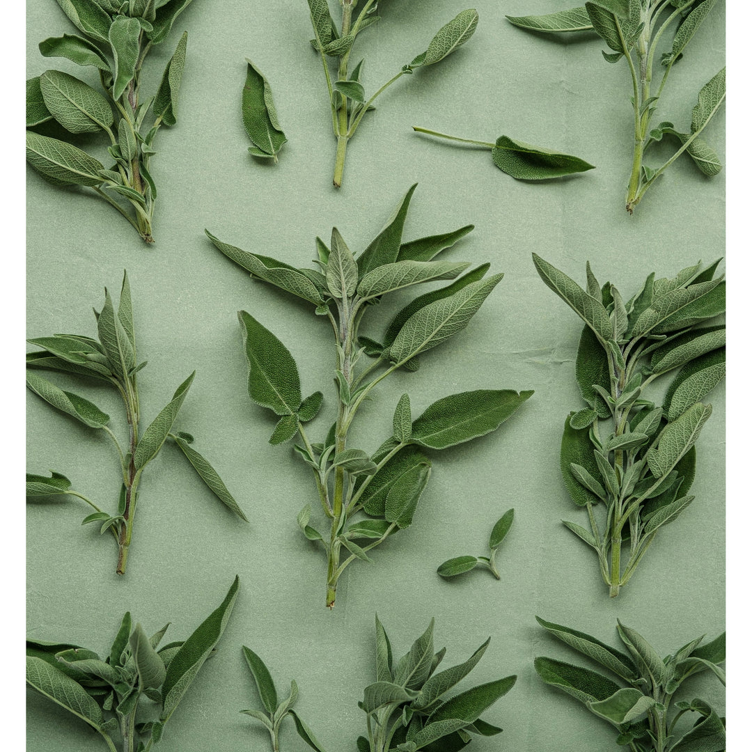 Edora Herb Butter Seasoning