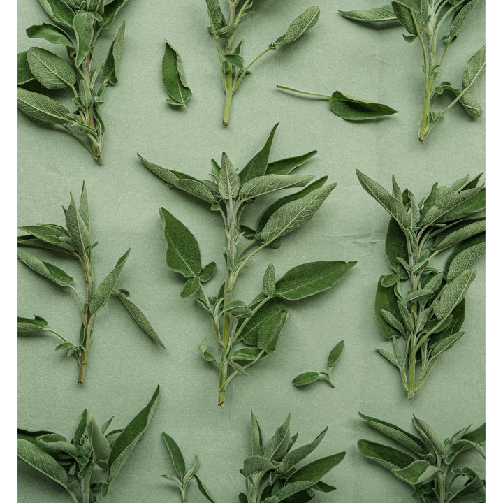 Edora Herb Butter Seasoning