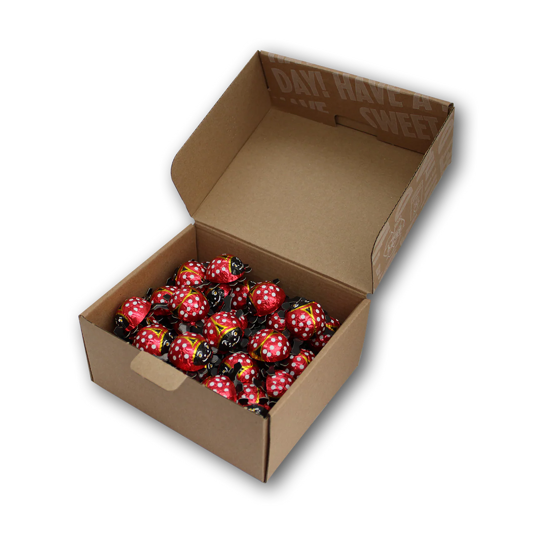 Storz Milk Chocolate Assorted Large Ladybugs