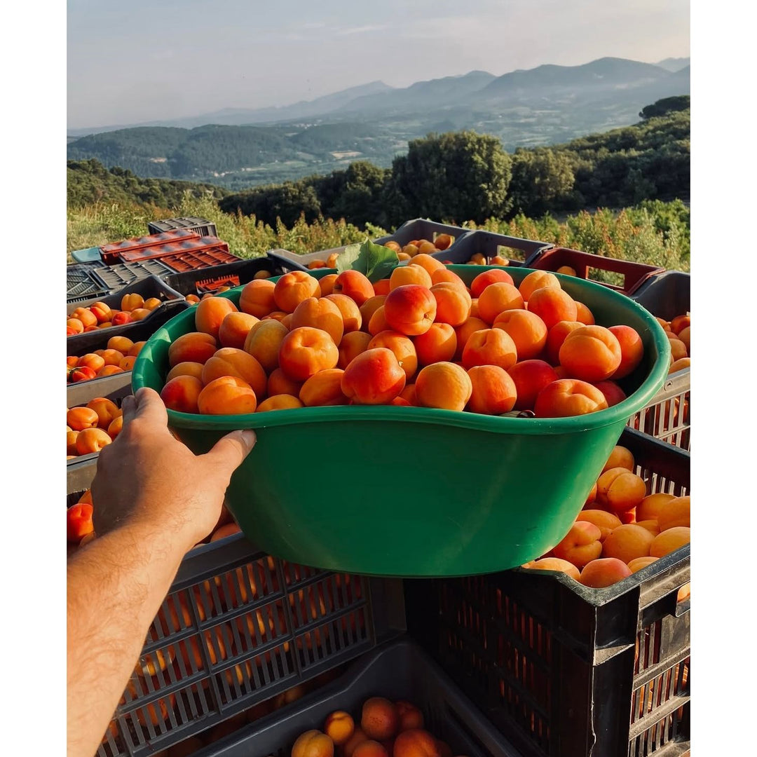 La Trinquelinette Apricot Rhubarb Jam