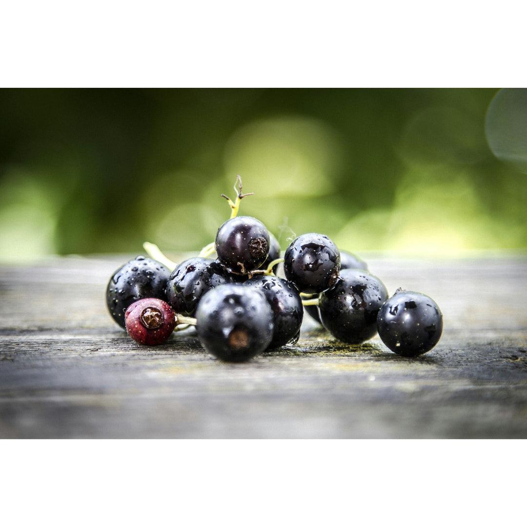 Dr. C. Soldan Em-eukal Currant Sugar-Free Lozenges