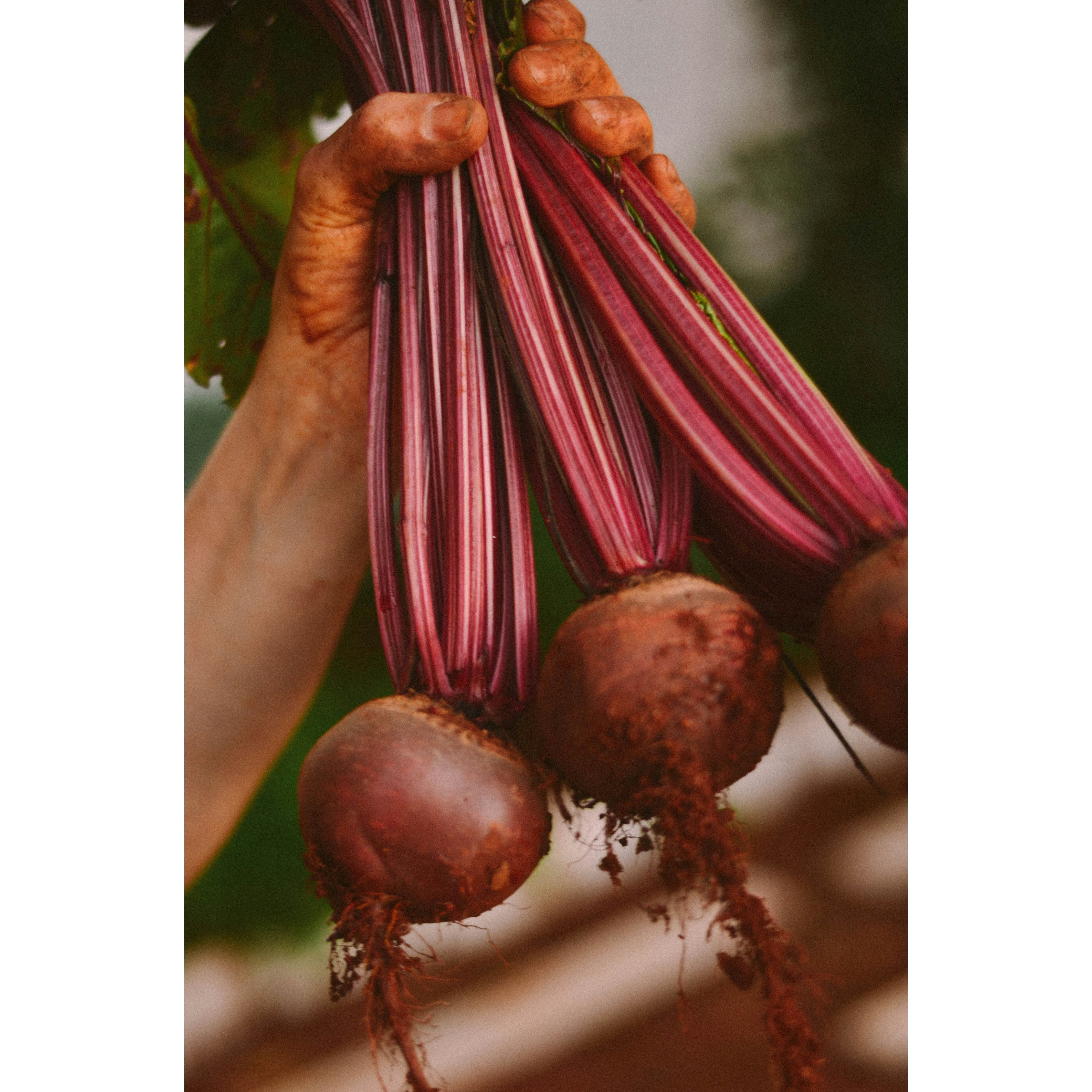 Grafschafter Goldsaft Sugar Beet Syrup