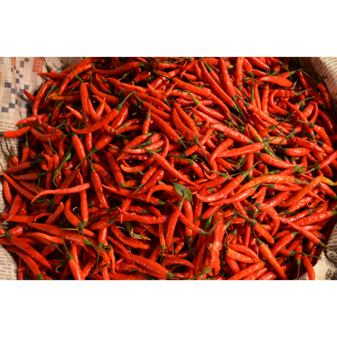 Szeged Hungarian Paprika Hot