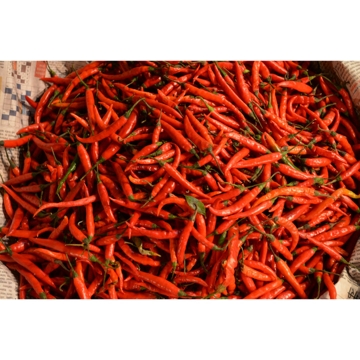 Szeged Hungarian Paprika Hot