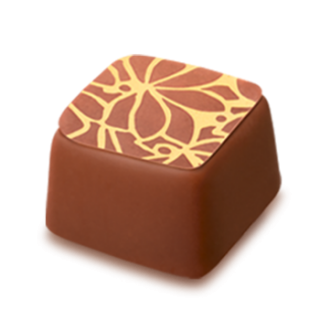Hofbauer Vienna square milk chocolate praline with yellow decorative pattern