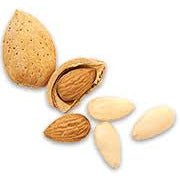 Niederegger Weissbrot White Marzipan Loaf