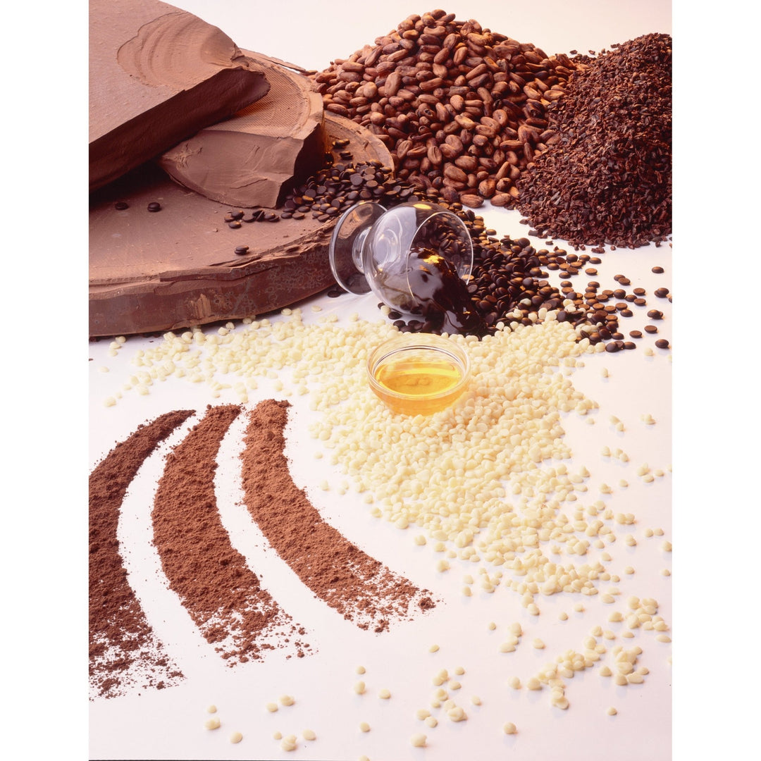 Reber Mozart Kugel, 12 pc. Portrait Box